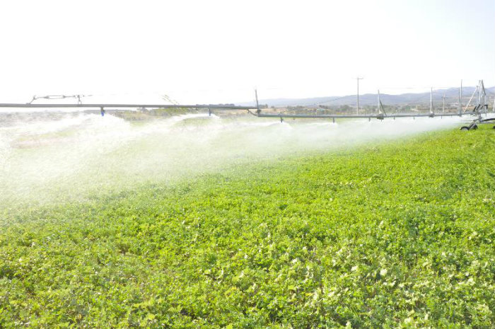 Irrigation Boom